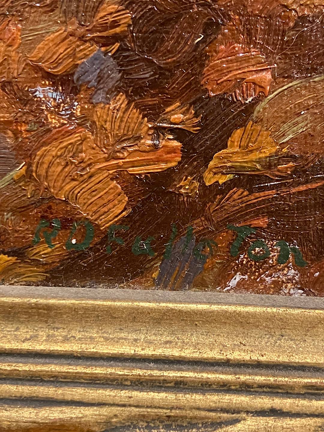 IMG_7112.jpeg