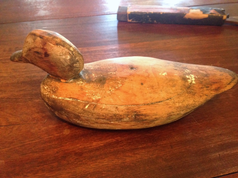 IMG_7364 (800x600).jpg