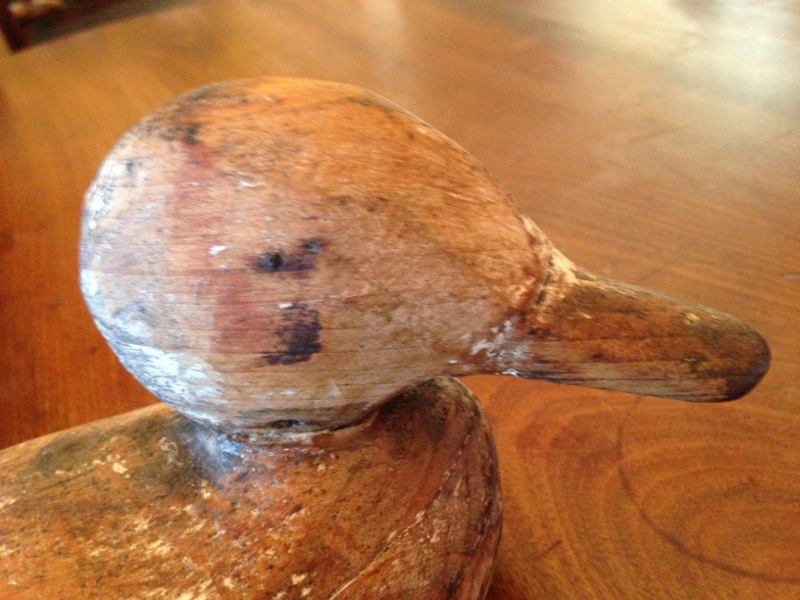 IMG_7369 (800x600).jpg