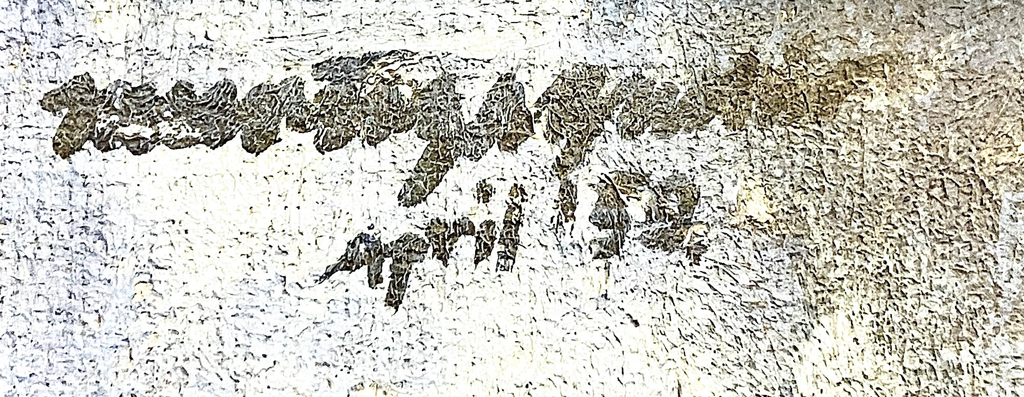 IMG_7716.jpeg