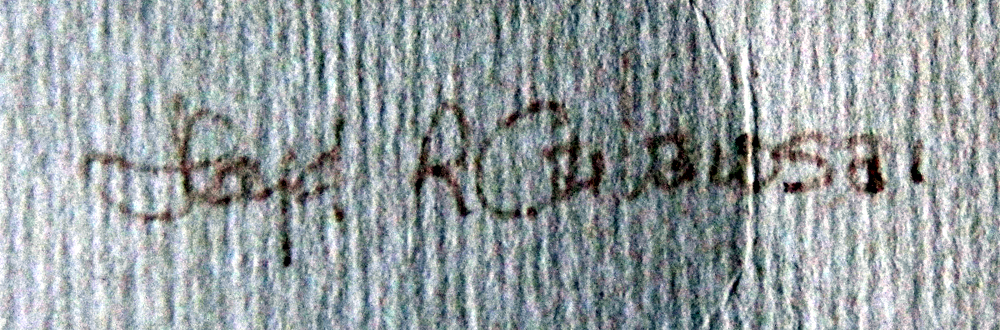 IMG_8013vergrook contrast.jpg