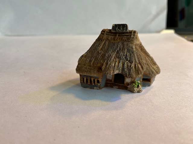 IMG_8774.jpg