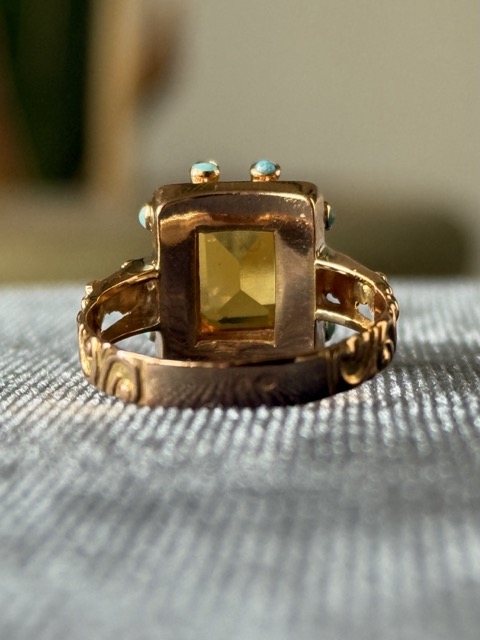 IMG_8901 Medium.jpeg