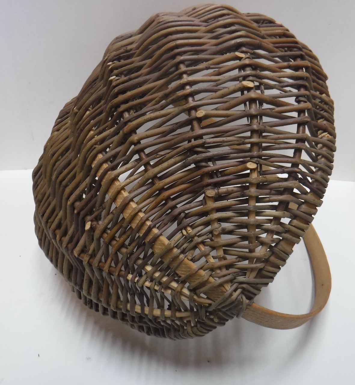 Imports - 1 of 1 (1).jpeg