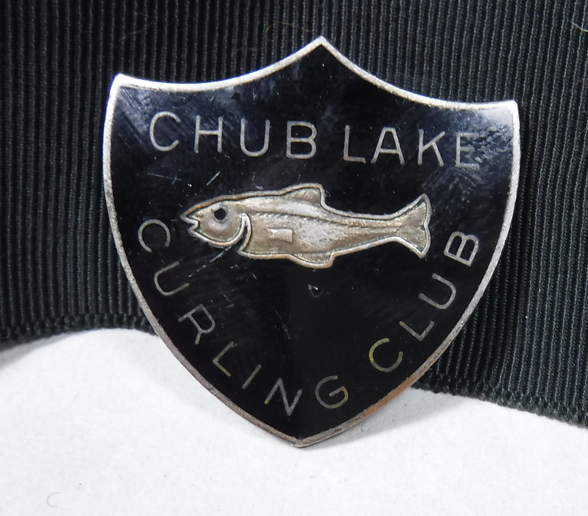 Imports - 1 of 1 (3).jpeg