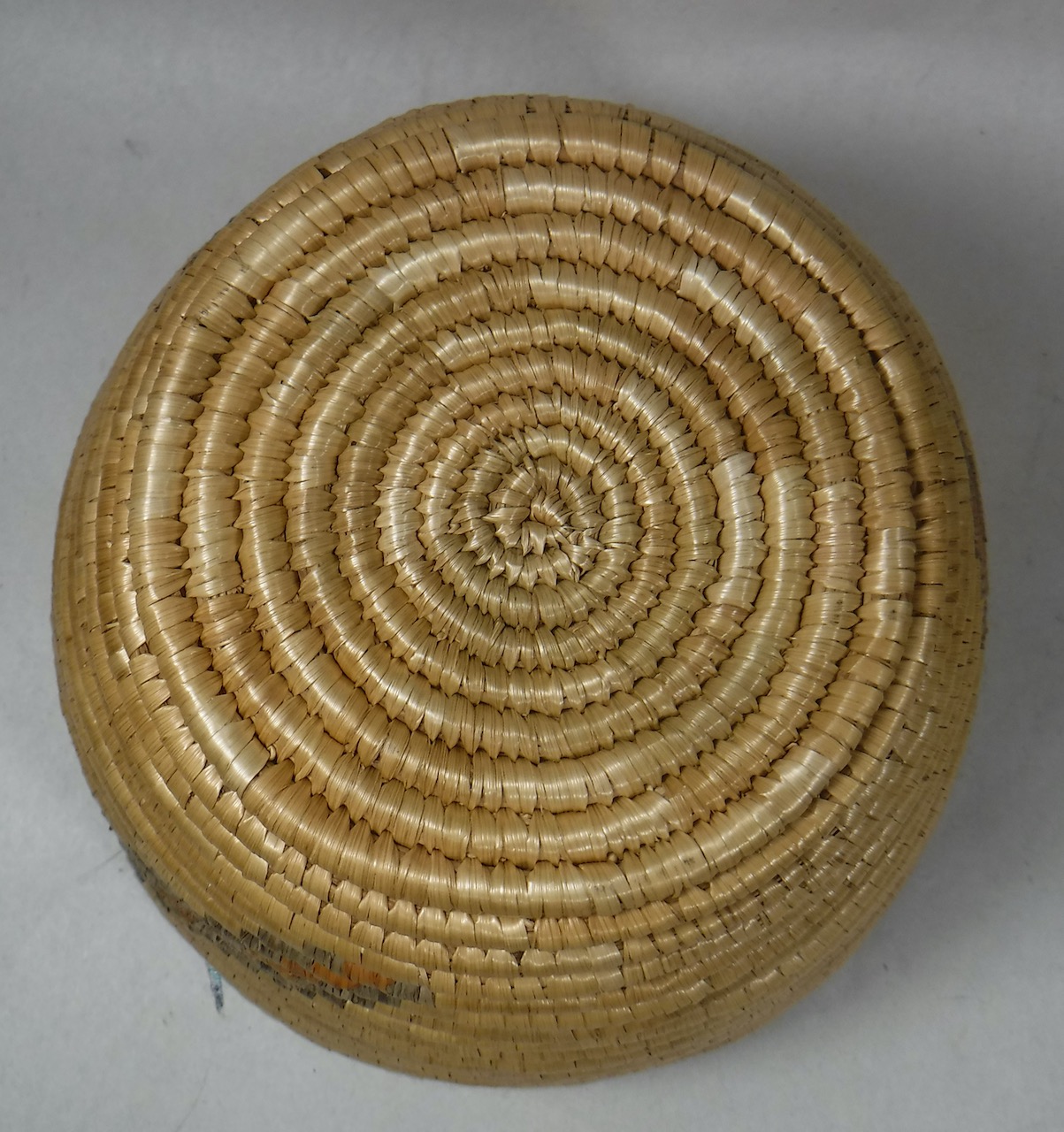 Imports - 1 of 3.jpeg