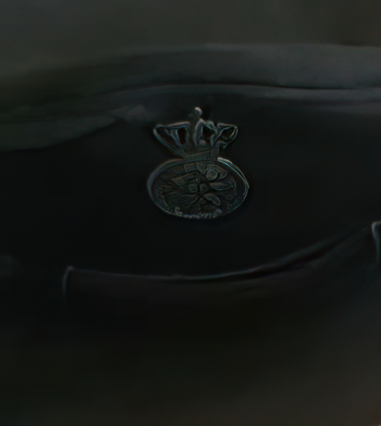 INSIGNIA2X-low_res-scale-3_00x-gigapixel.jpg