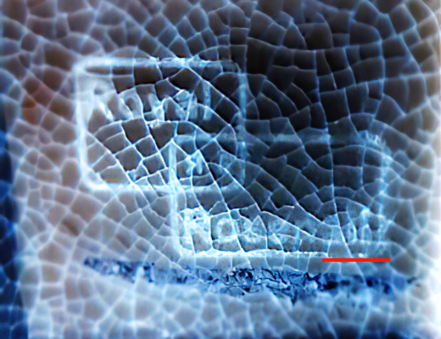 INVERTED ROYAL ROSEN-scale-2_00x.jpg