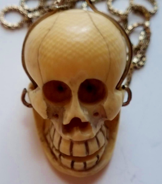 Ivory Skull (564x640).jpg