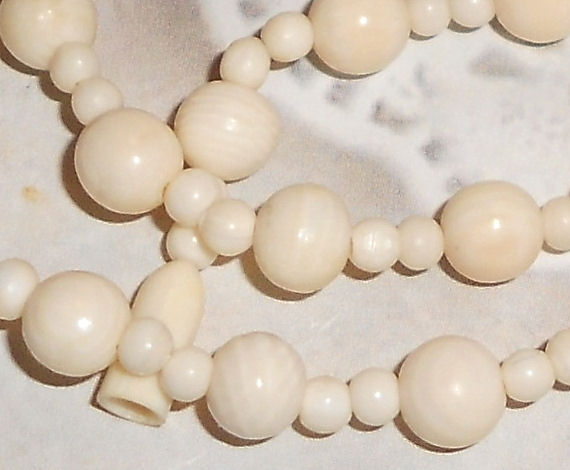 ivory2.jpg