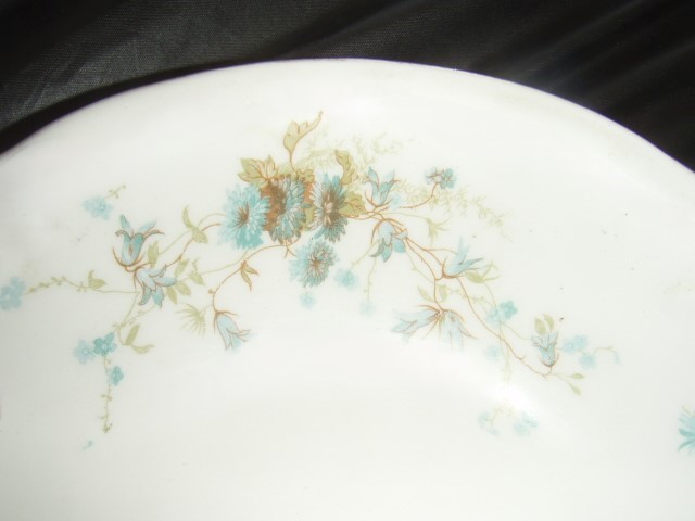 J. M. & S Co PSYCHE  Blue Floral Large  17 Oval Ironstone Platter  MINE.JPG