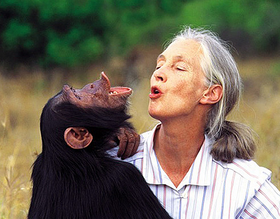 jane_goodall.PNG