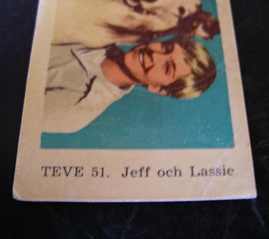 Jeff and Lassie 2.jpg