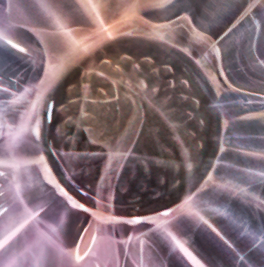 KIKO FACE IN BOWL.jpg