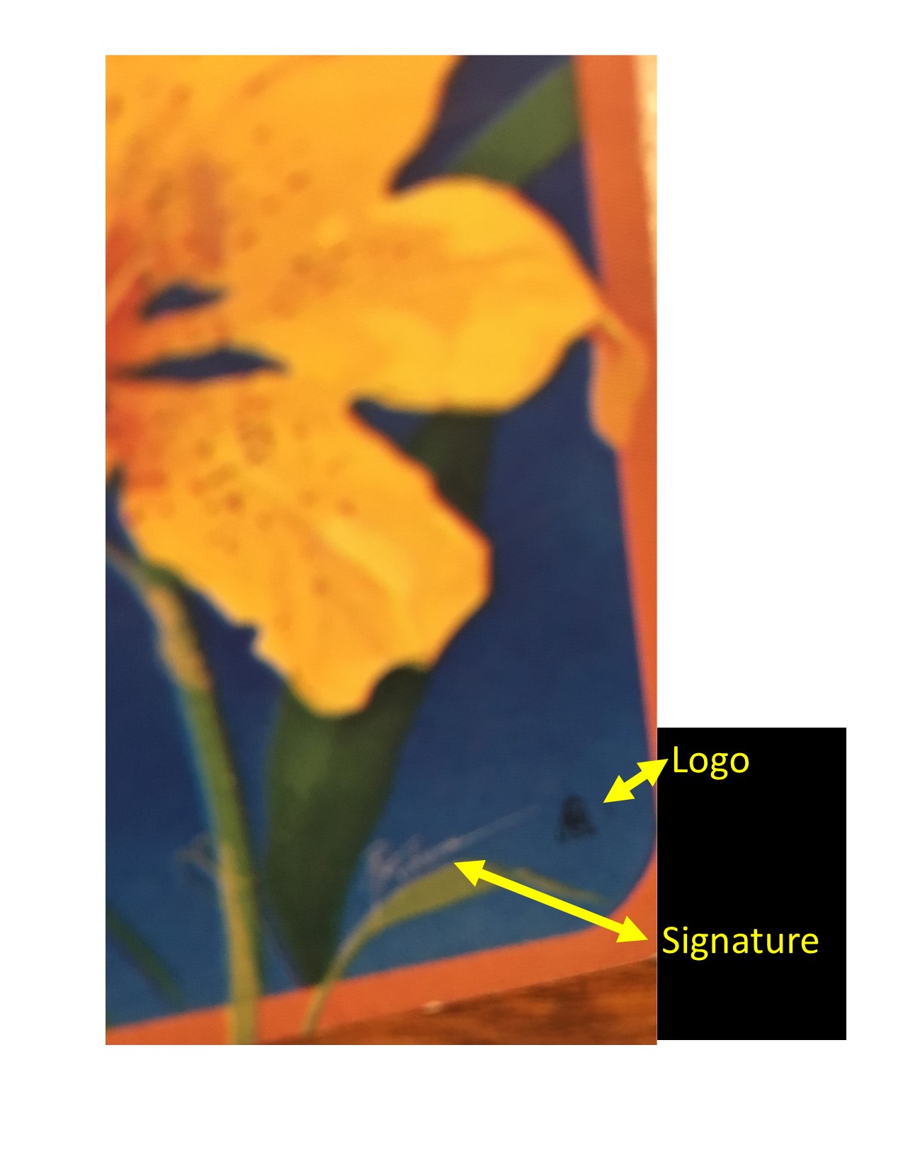 lilly playing card 1.jpg