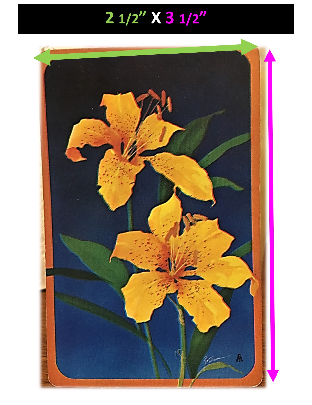 lilly playing card 3.jpg