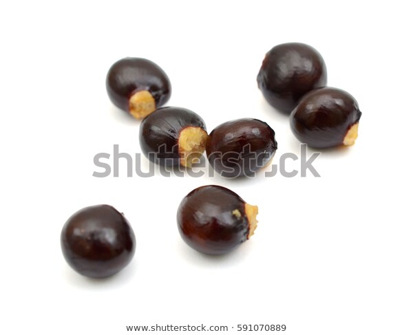 longan-seeds-isolated-on-white-600w-591070889.jpg