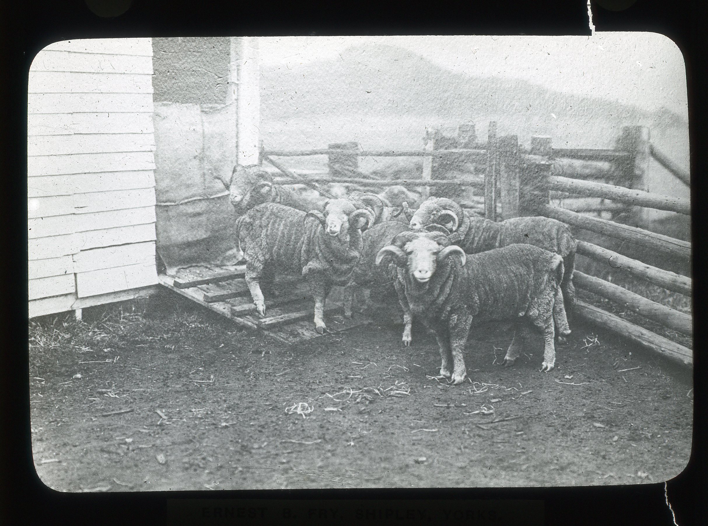 MagicLantern Slide 526.jpg