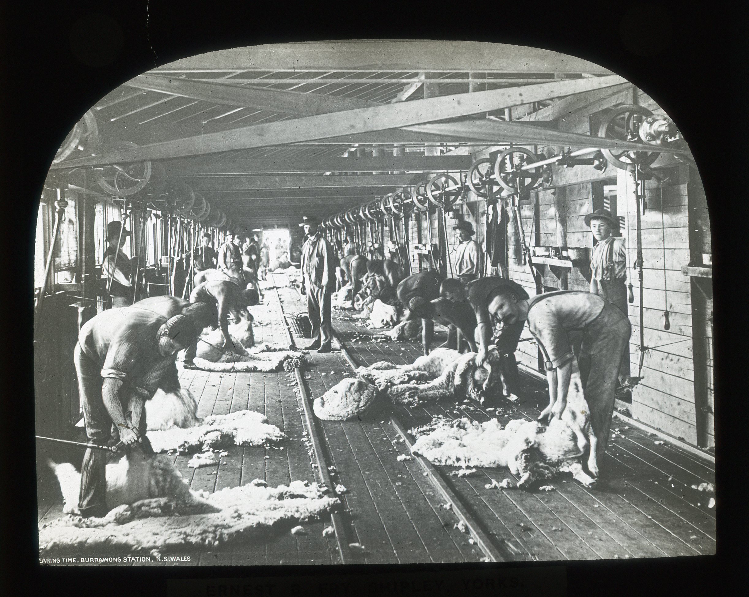 MagicLantern Slide 529.jpg