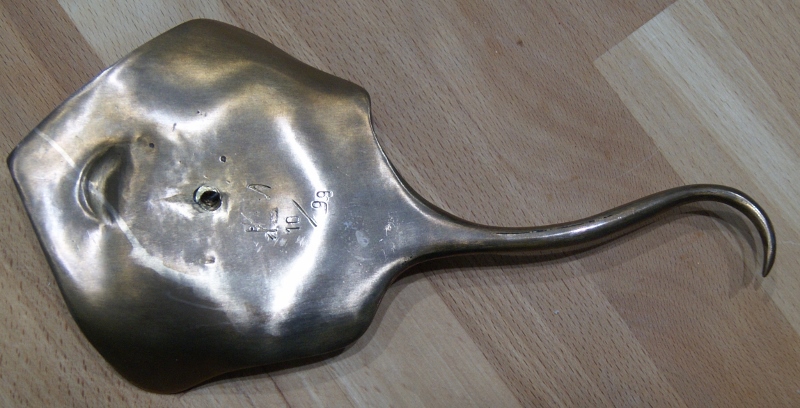 manta2 (800x408).jpg