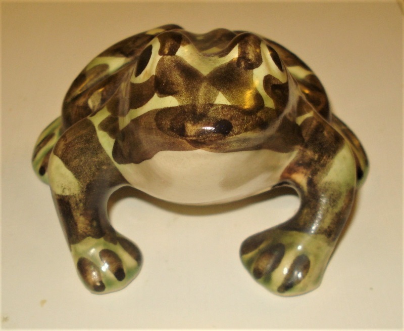 McCoy Brush Frog Smaller 1.jpg