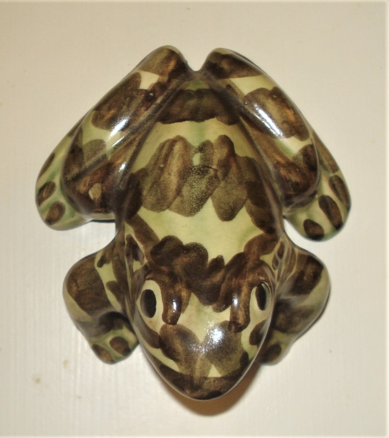 McCoy Brush Frog Smaller 2.jpg