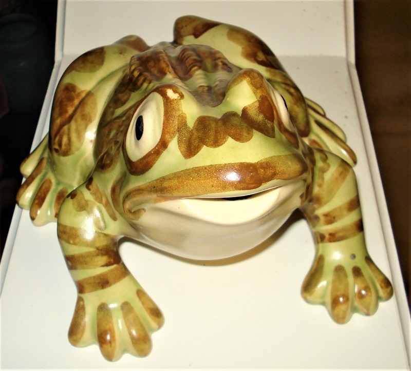 MCCOY brush mccoy froggy.jpg