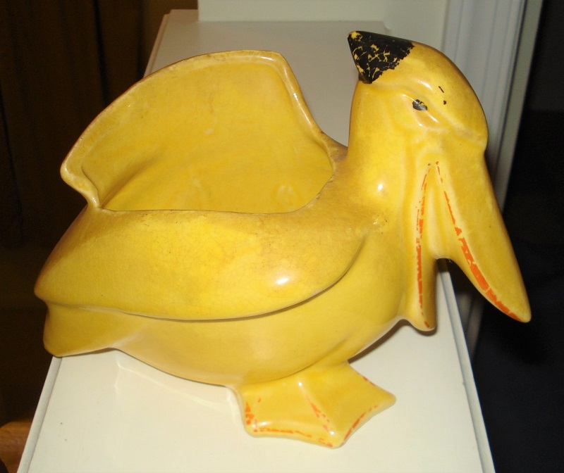 MCCOY nelson mccoy pelican.jpg