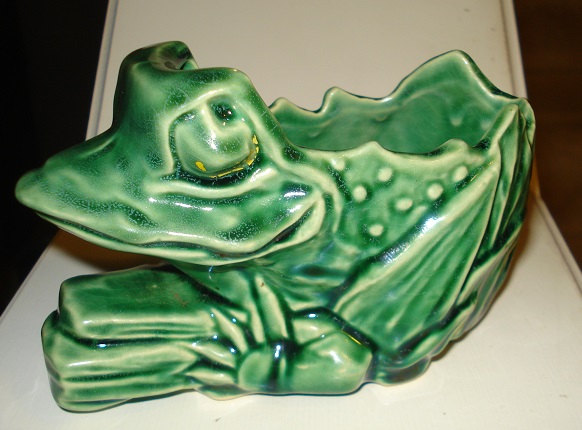 MCCOYfrog1.jpg