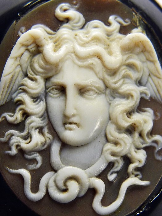 Medusa 16 excellent Dan's.JPG