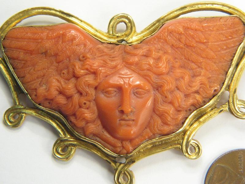 medusa coral 1.JPG