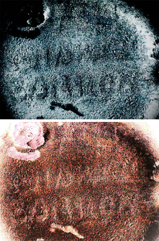 MINI VASE BOTTOM.jpg