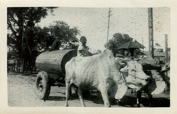 Mobilgas by cow India 1943.jpg