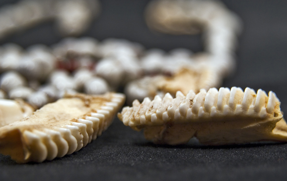 Native Neck-12-3.jpg