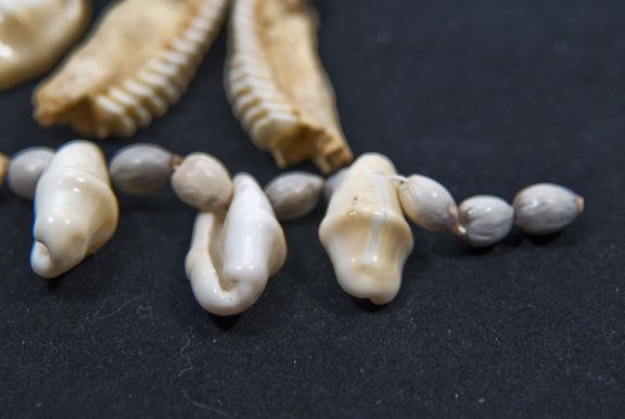 Native Neck-5-10.jpg