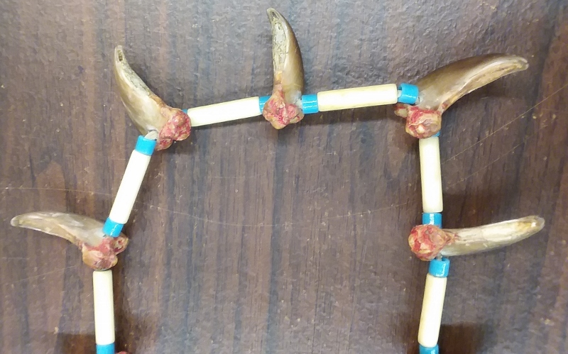 necklace 3 (800x499).jpg
