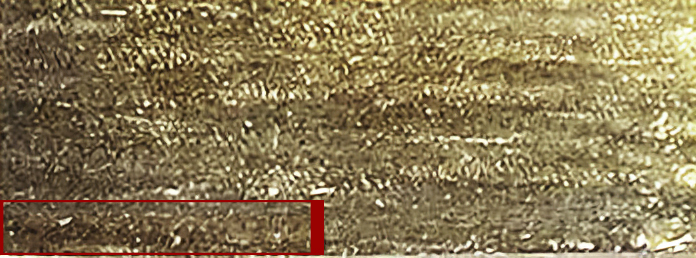 NEW POTENTIAL SIGNAT2-art-scale-2_00x-gigapixel.jpg