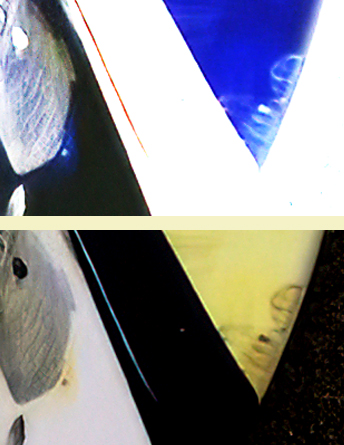 NEW SIGGN-low_res-scale-2_00-1l.jpg