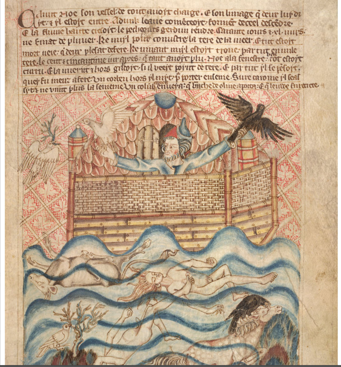 noah and the ark holcombe bible 14th century copy.jpg