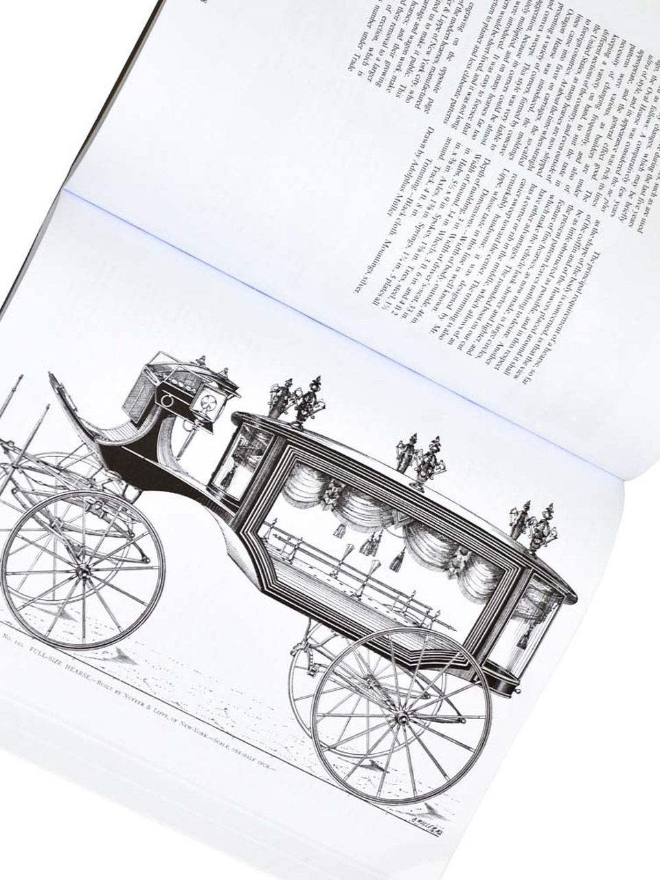 Nuffer and Lippe.jpg