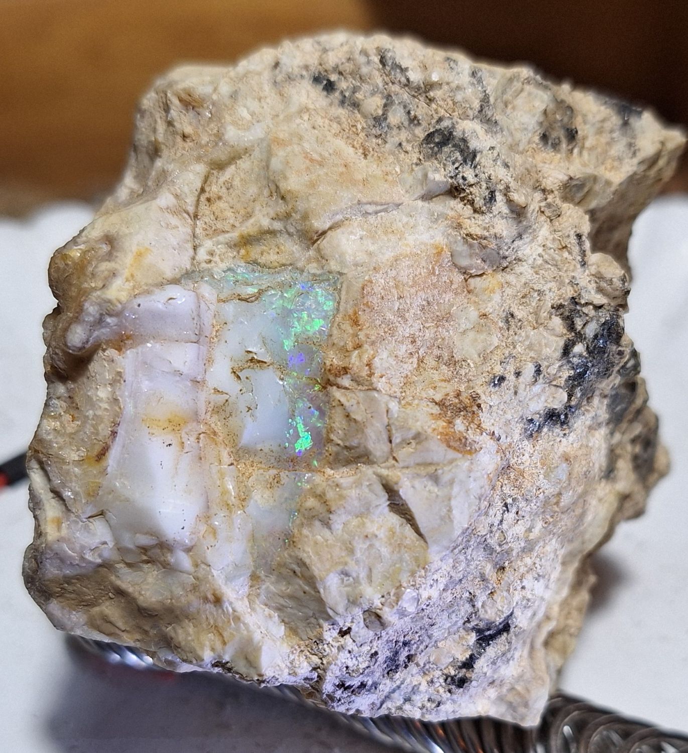 opal picture.jpg