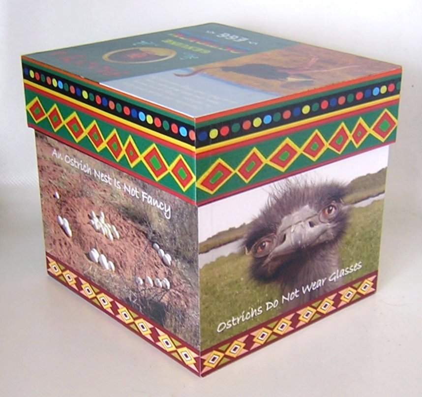 OstrichBox-b.jpg