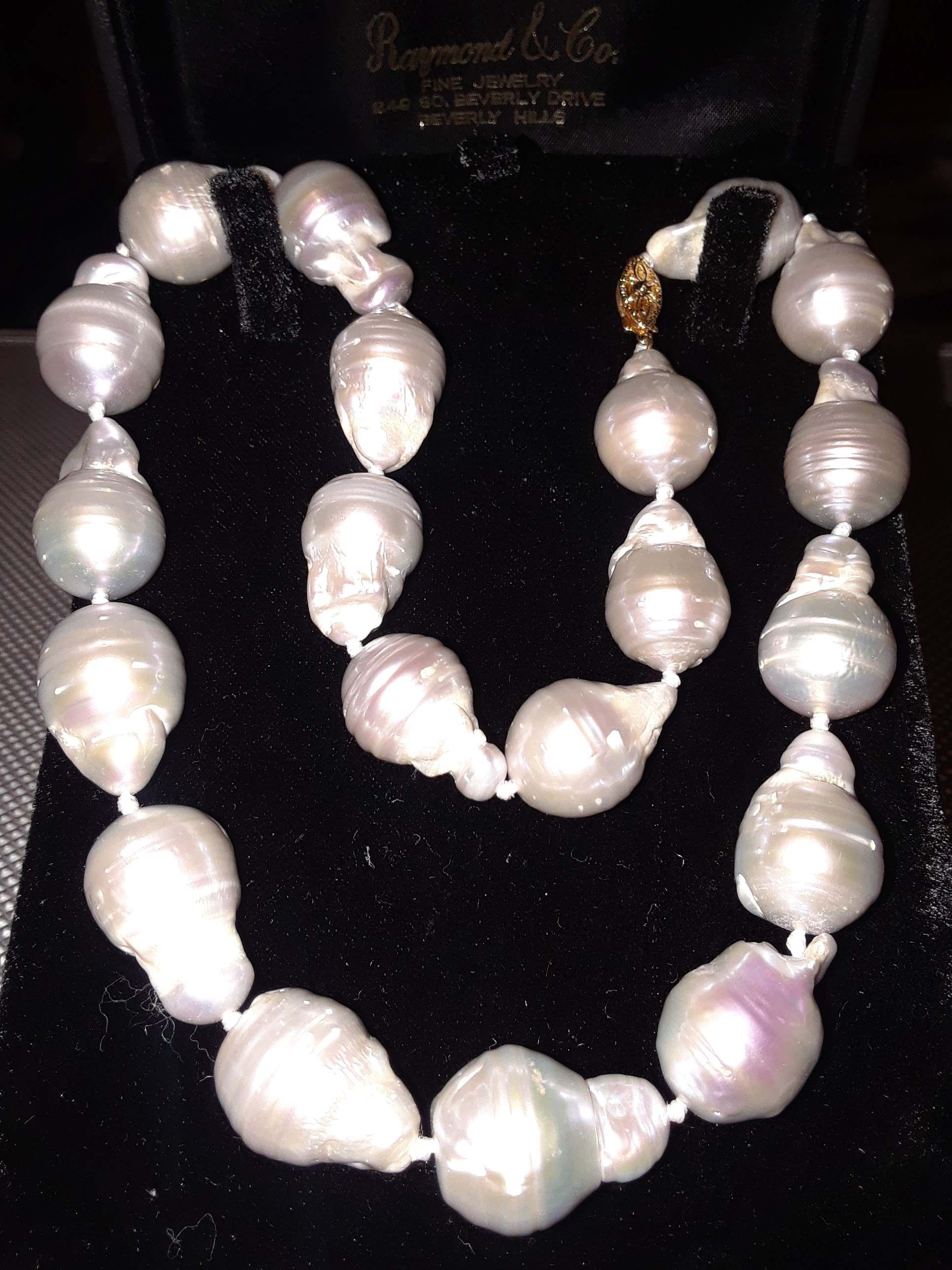 P1.jpg