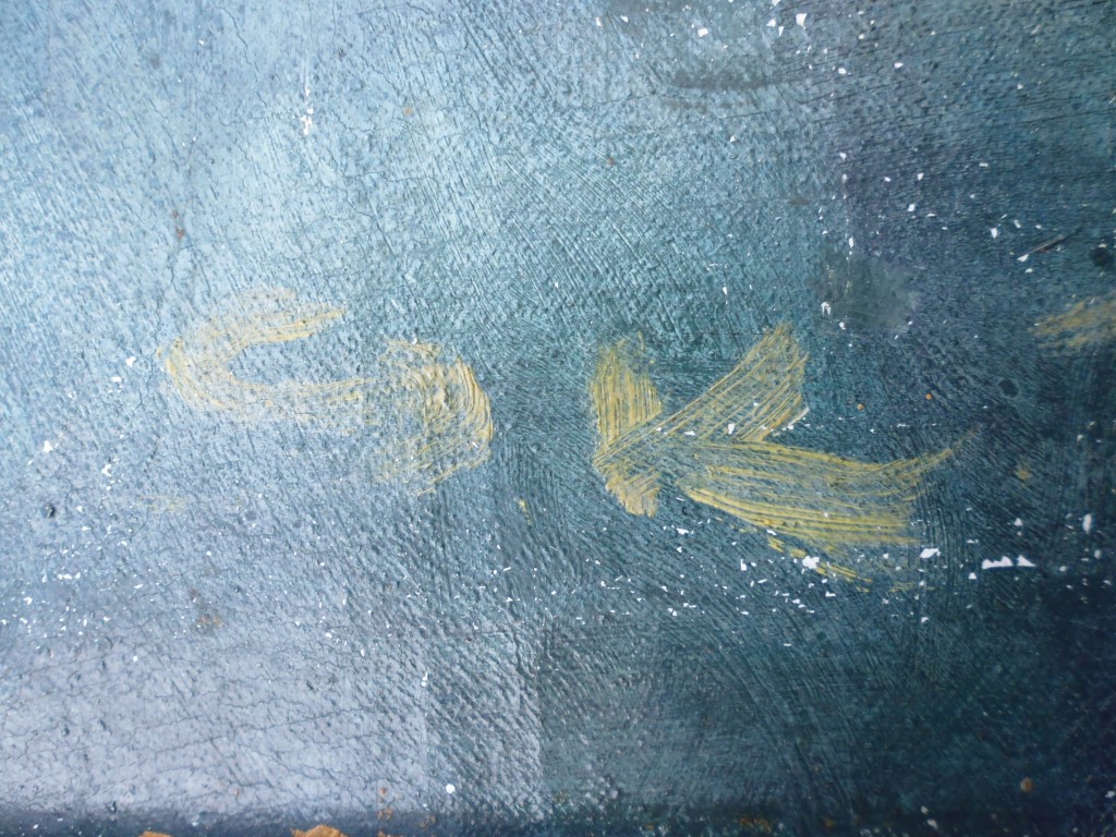 P1010185 (Medium).JPG