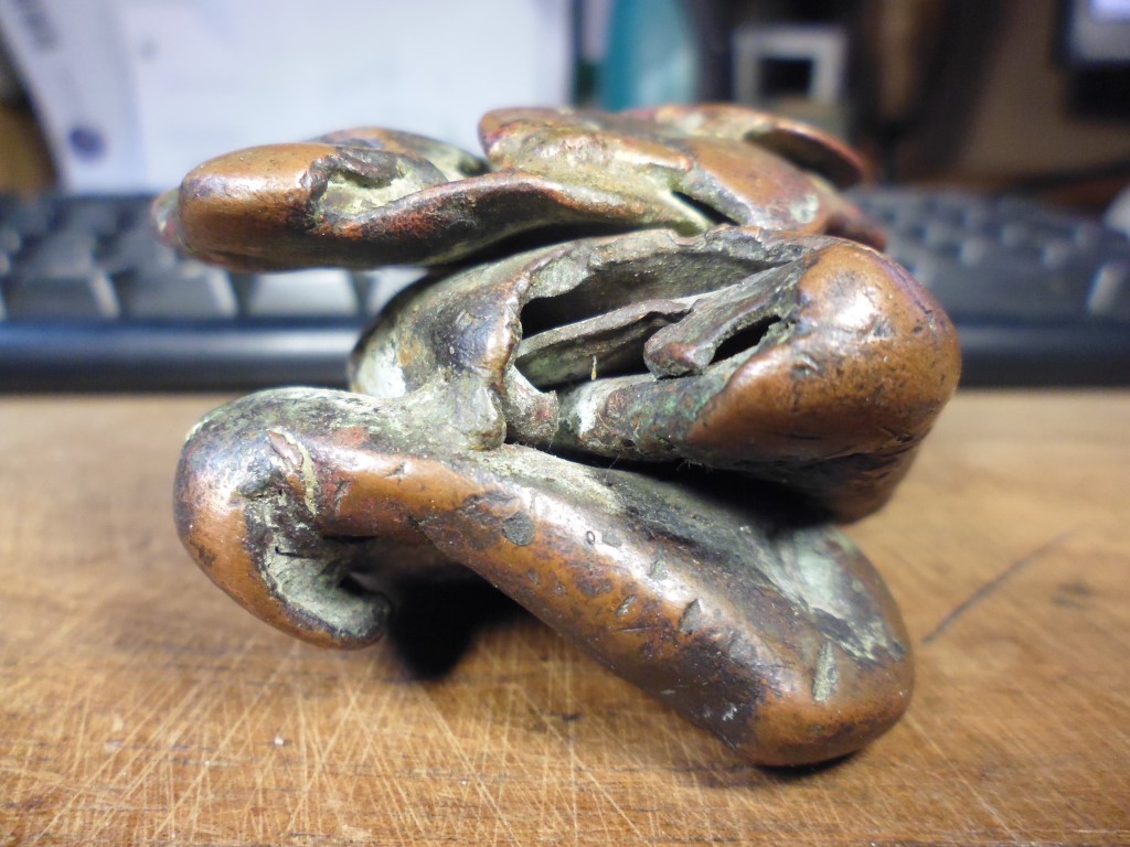 P1010448 (Medium).JPG