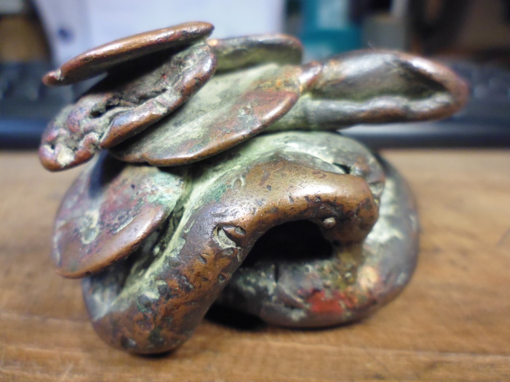 P1010449 (Medium).JPG