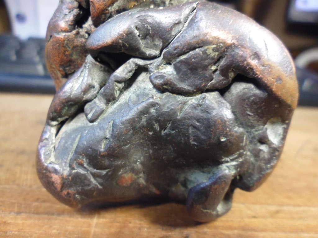 P1010450 (Medium).JPG