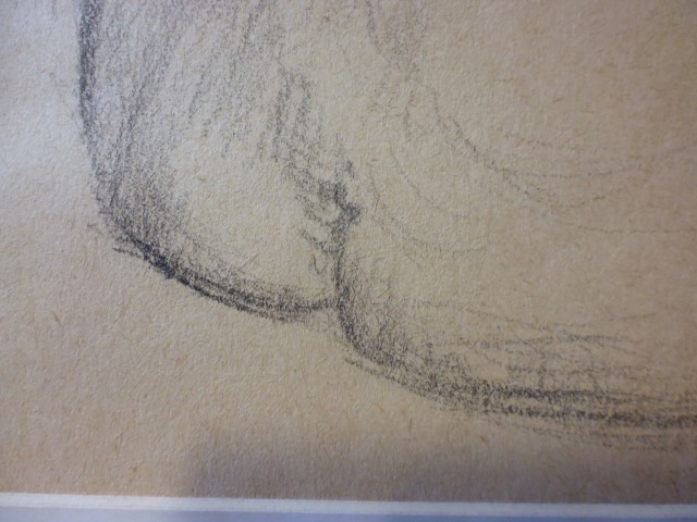 P1010610 (Small).JPG