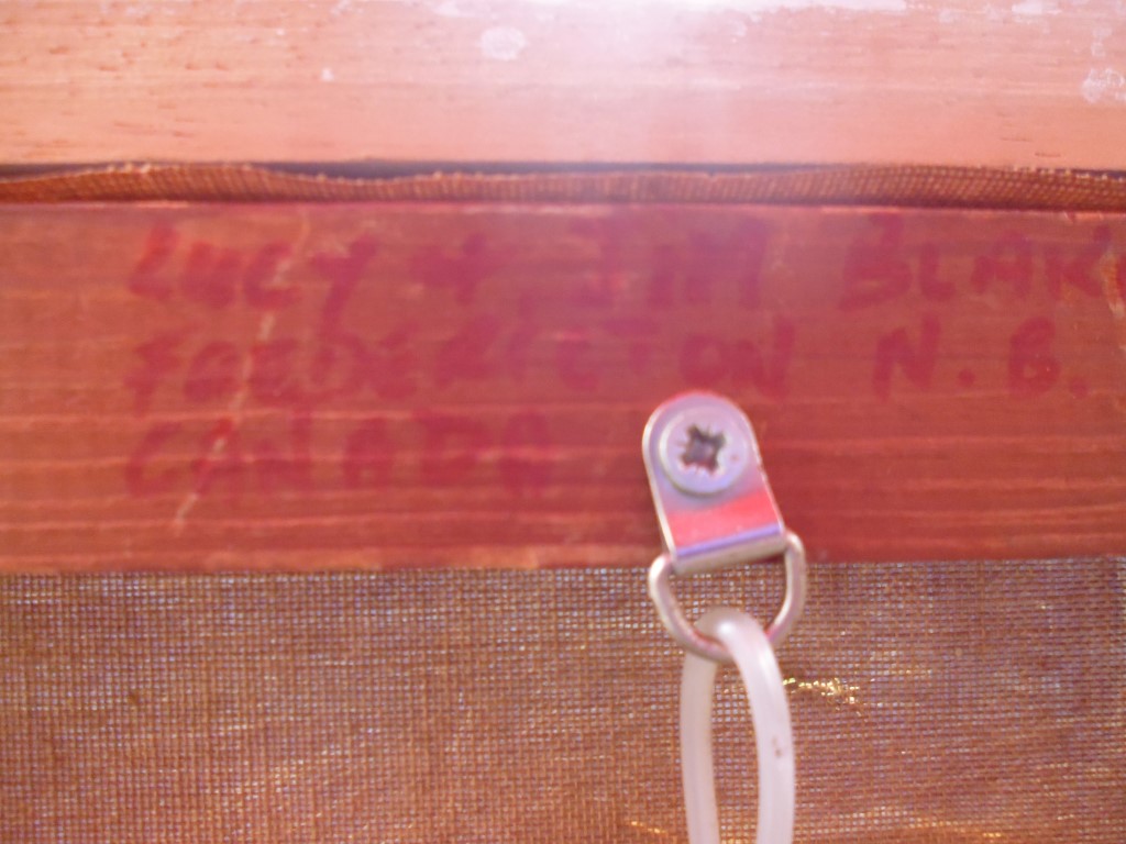 P1010787 (Medium).JPG