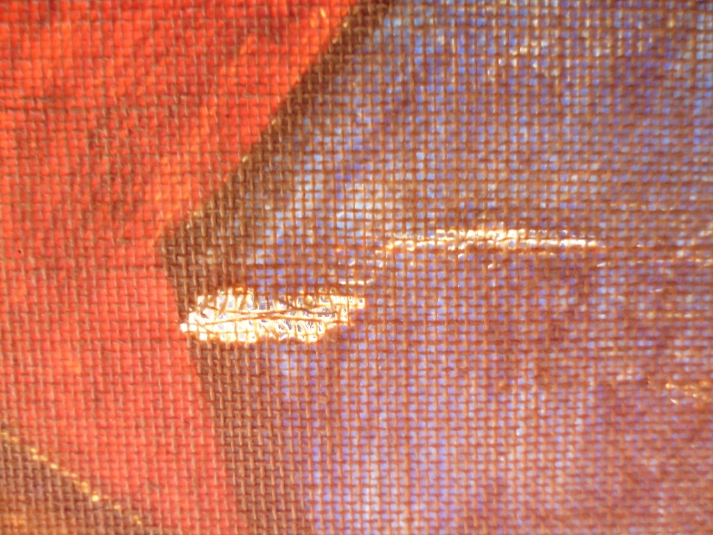 P1010788 (Medium).JPG